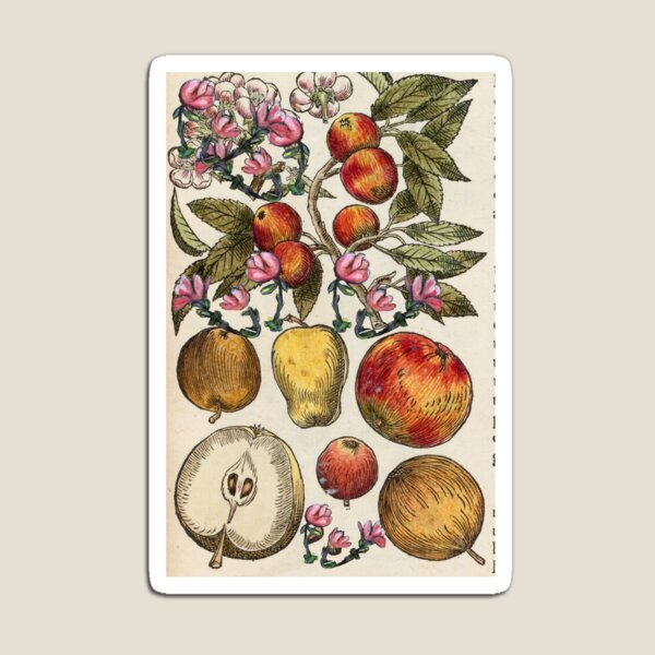 Crazy Fruit And Blooms Magnet