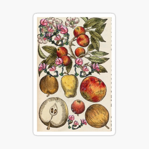 Crazy Fruit And Blooms Sticker