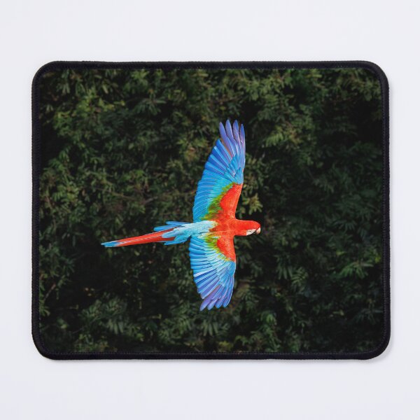 Item preview, Red-and-green macaw at Buraco das Araras, Brazil designed and sold by Graham Prentice.
