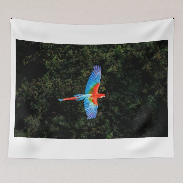 Item preview, Red-and-green macaw at Buraco das Araras, Brazil designed and sold by Graham Prentice.