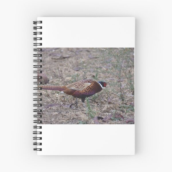 Item preview, Pheasant designed and sold by MarieDarcy97.