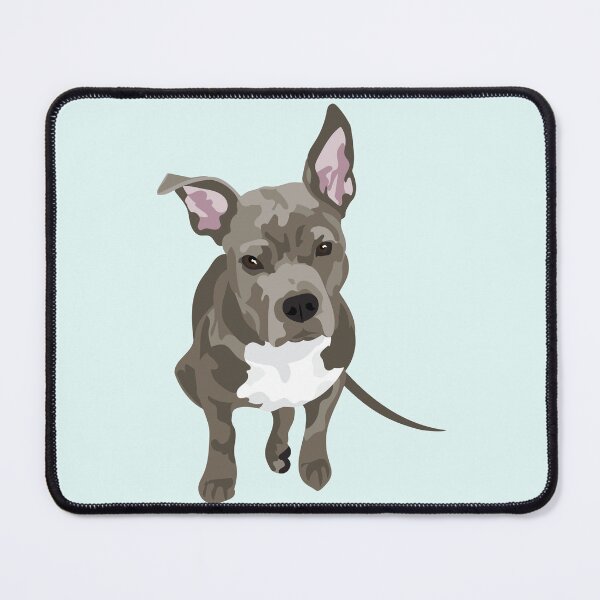 Item preview, Knox designed and sold by ArtofACoonhound.