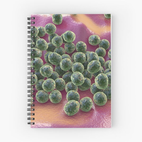 Item preview, Staphylococcus bacteria designed and sold by Kateryna Kon.