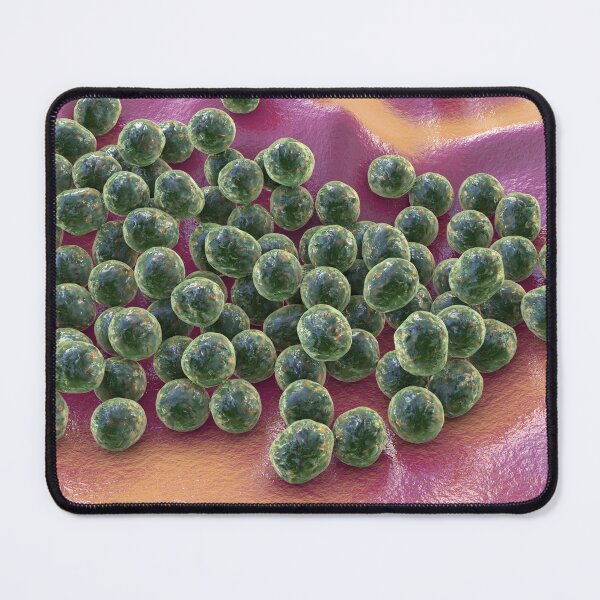 Item preview, Staphylococcus bacteria designed and sold by Kateryna Kon.