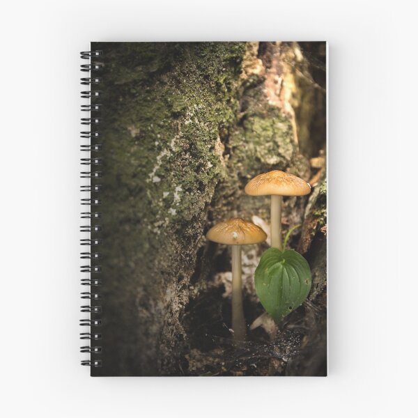 Item preview, Mushrooms growing in fores designed and sold by Olimpia Negura.