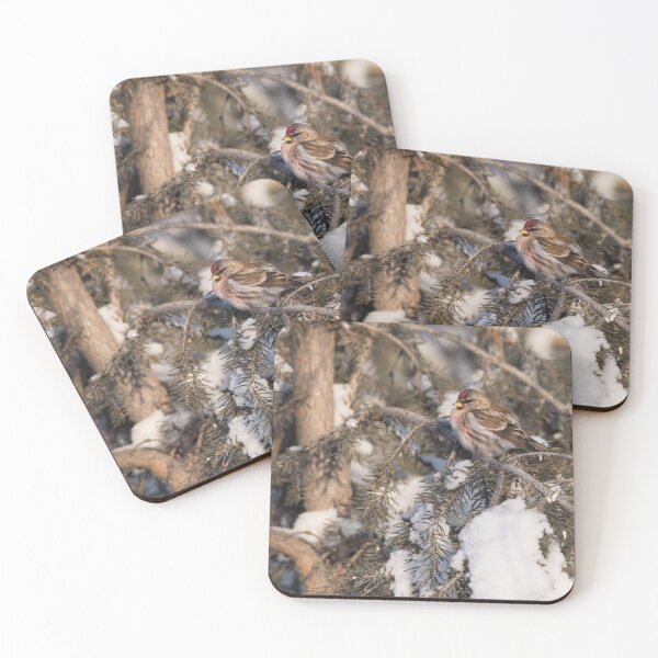 Item preview, Common Redpoll Perched In Snow-Covered Pine designed and sold by The F—! Stop.
