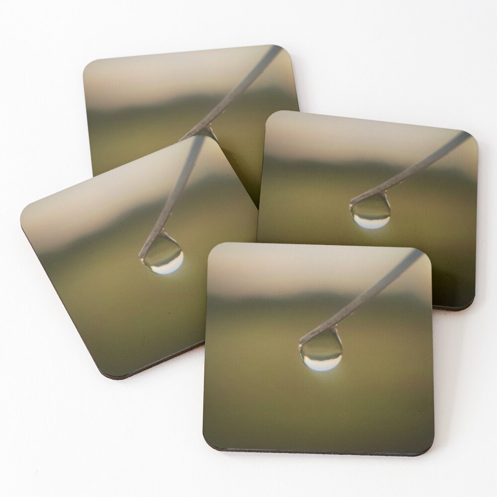Item preview, Coasters (Set of 4) designed and sold by Beardeaux.