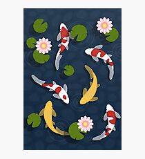 Japanese Koi Fish Pond Photographic Print