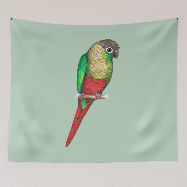 Item preview, Conure with a heart on its belly designed and sold by Bwiselizzy.