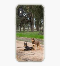 Two Young Kelpie's ....... iPhone Case