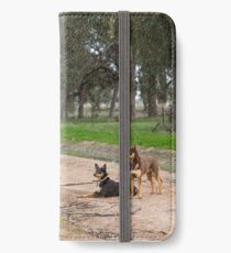 Two Young Kelpie's ....... iPhone Wallet/Case/Skin