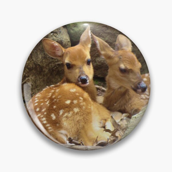 Item preview, Resting Fawns designed and sold by Anthony Seeker.