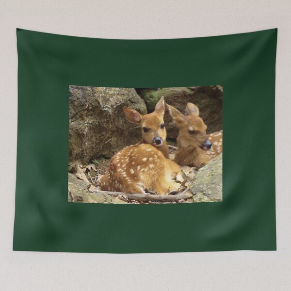 Item preview, Resting Fawns designed and sold by Anthony Seeker.