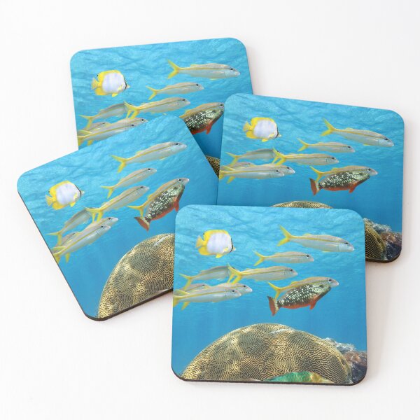 Item preview, Tropical fish with brain coral underwater Caribbean sea designed and sold by Seaphotoart.