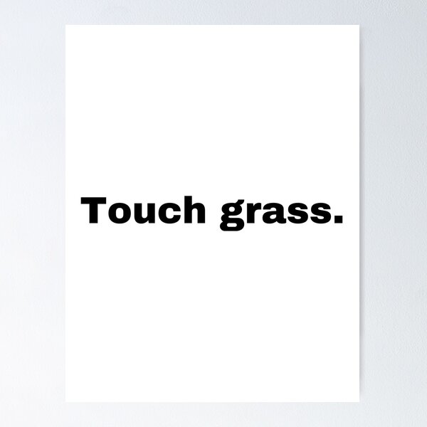 Funny Meme Gift Touch Grass Poster for Sale by kmcollectible
