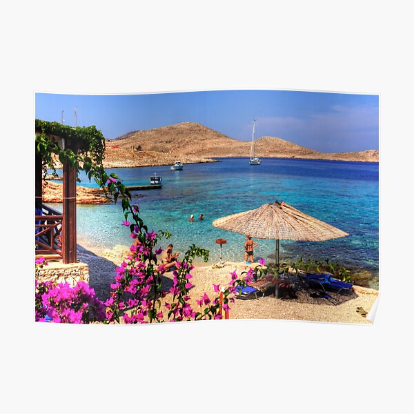 "Bougainvillea and Beach Umbrella" Poster for Sale by tomg Redbubble