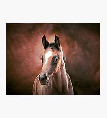 Mums and babies Photographic Print
