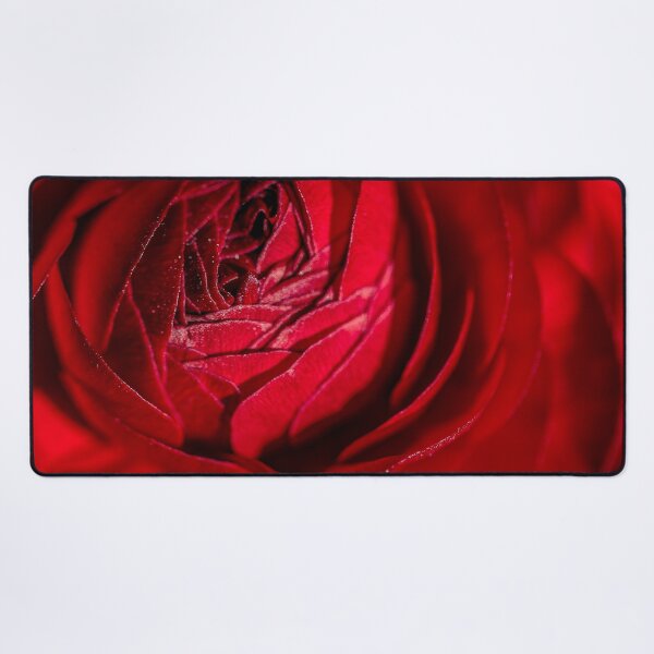 Item preview, Rose closeup designed and sold by KGPhotoArt.