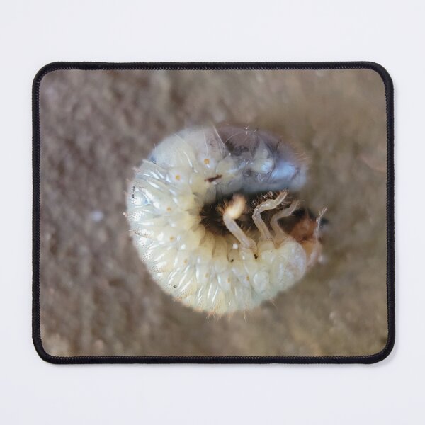 Item preview, From the Earth designed and sold by Cameron Ashford.