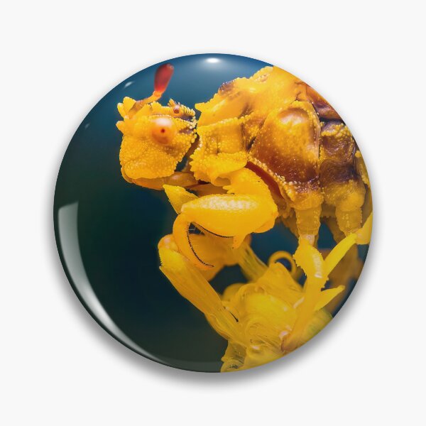 Item preview, Ambush Bug - Phymatinae designed and sold by AronsTinySafari.
