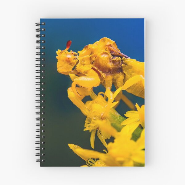 Item preview, Ambush Bug - Phymatinae designed and sold by AronsTinySafari.