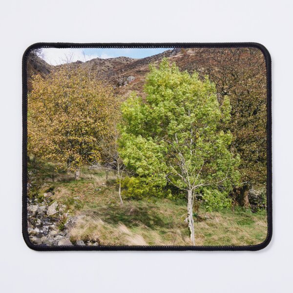 Item preview, Raise Gill, Watendlath designed and sold by John Dunbar.