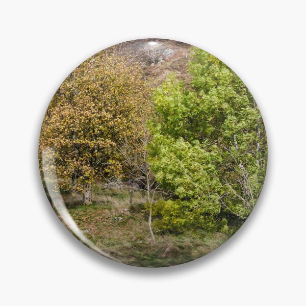 Item preview, Raise Gill, Watendlath designed and sold by John Dunbar.