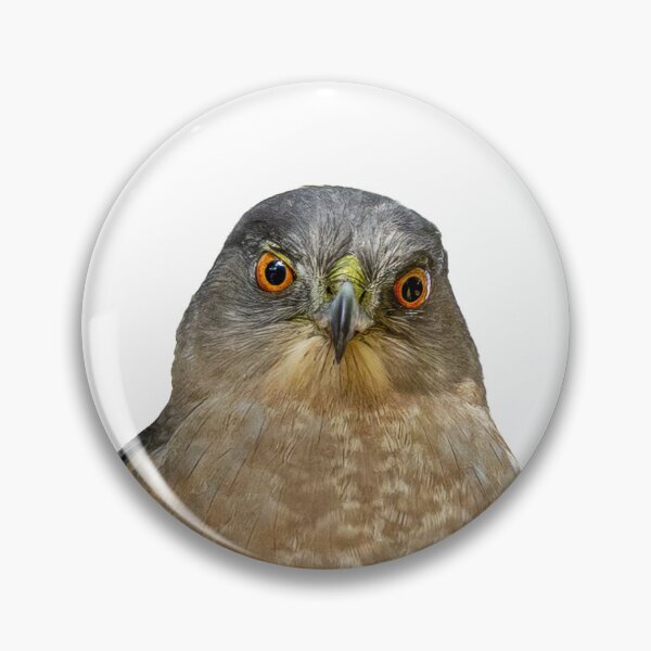 Item preview, May I Help You? Cooper's Hawk designed and sold by Paula Bund.