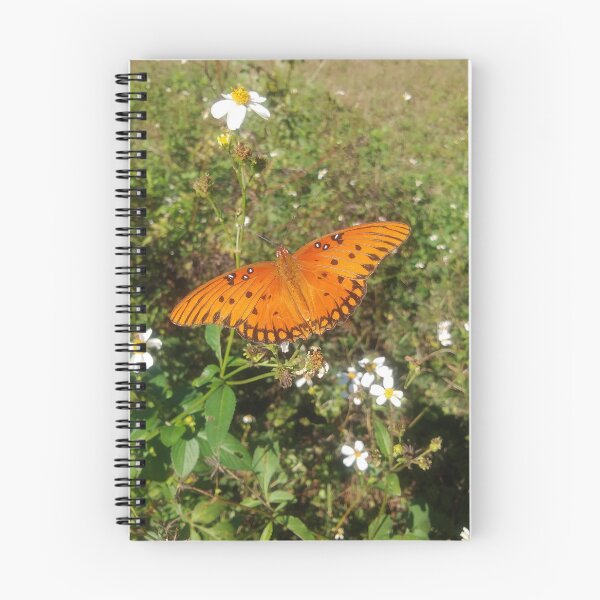 Item preview, Viceroy Butterfly designed and sold by EnticingRose.