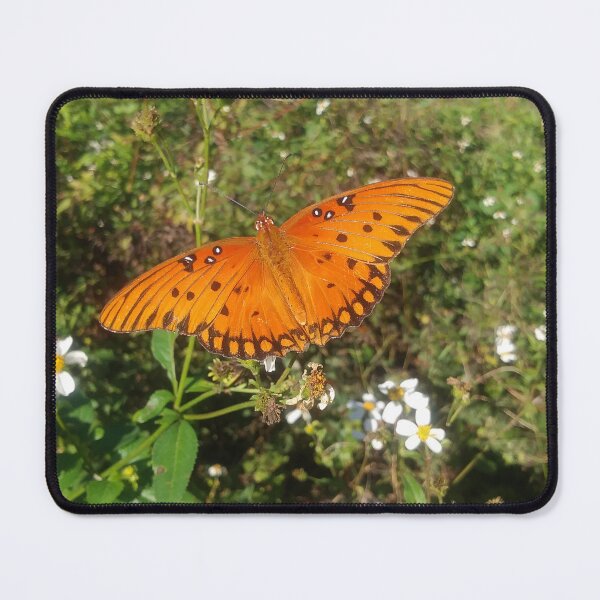 Item preview, Viceroy Butterfly designed and sold by EnticingRose.