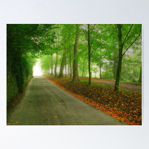 Item preview, Wooded road designed and sold by TheOzTraveller.
