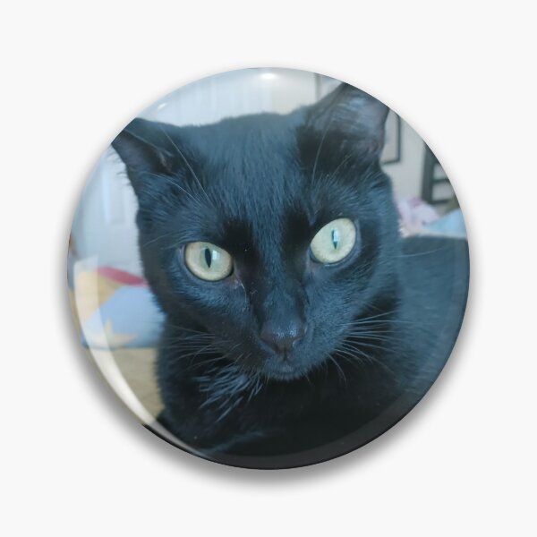 Item preview, Hypno Cat designed and sold by Cousin Bruce & Brother Jovi.