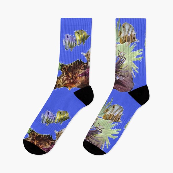 Item preview, Tangs, Angels Swimming on Coral Reef designed and sold by killies.