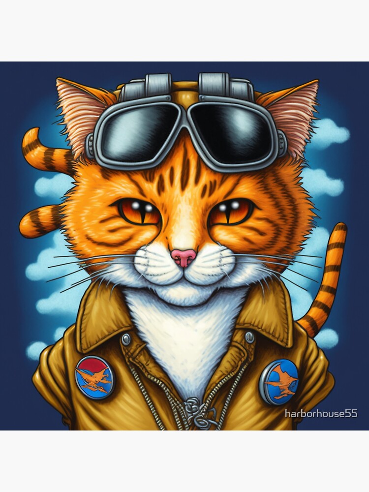 "Adventurous Aviator B" Sticker For Sale By Harborhouse55 | Redbubble