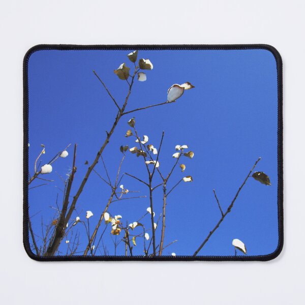Item preview, Winter tree photography | Winter snow on tree with leaves designed and sold by lausn.