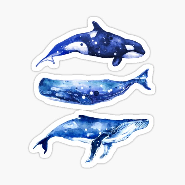 Artikel-Vorschau von Aquarell Wal Trio, designt und verkauft von SamNagelArt.