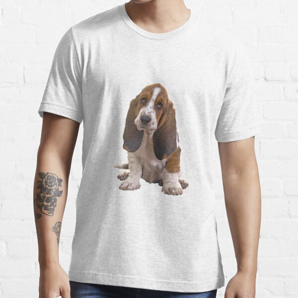 basset hound apparel