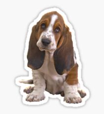 Basset Hound Portrait Art and Gifts Sticker