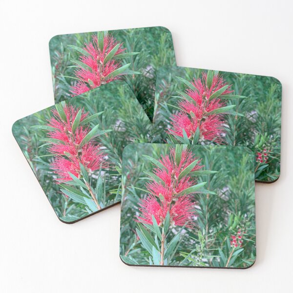 Item preview, Bottlebrush  designed and sold by baksuart.
