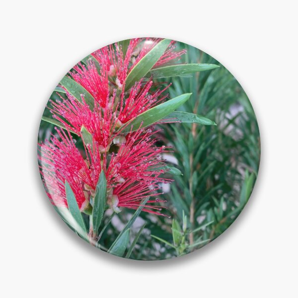 Item preview, Bottlebrush  designed and sold by baksuart.