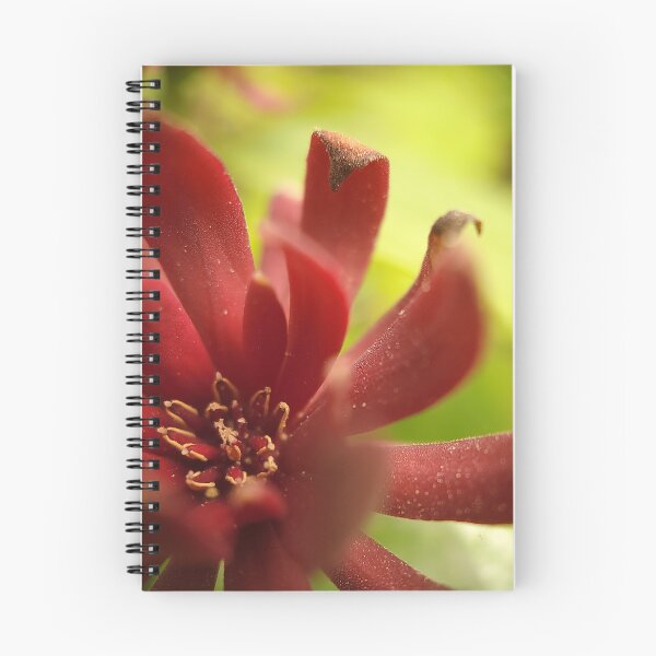 Item preview, Pollen designed and sold by Cameron Ashford.
