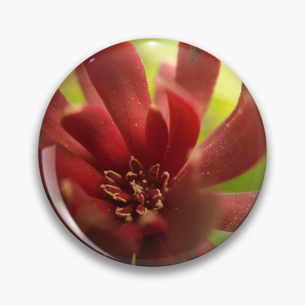 Item preview, Pollen designed and sold by Cameron Ashford.