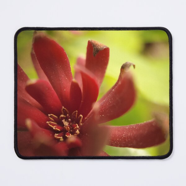 Item preview, Pollen designed and sold by Cameron Ashford.