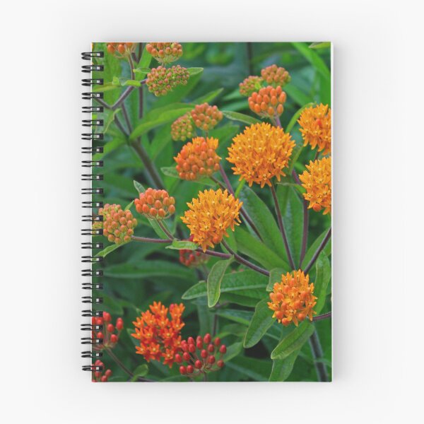 Item preview, Fiery Fervor designed and sold by Michiale.