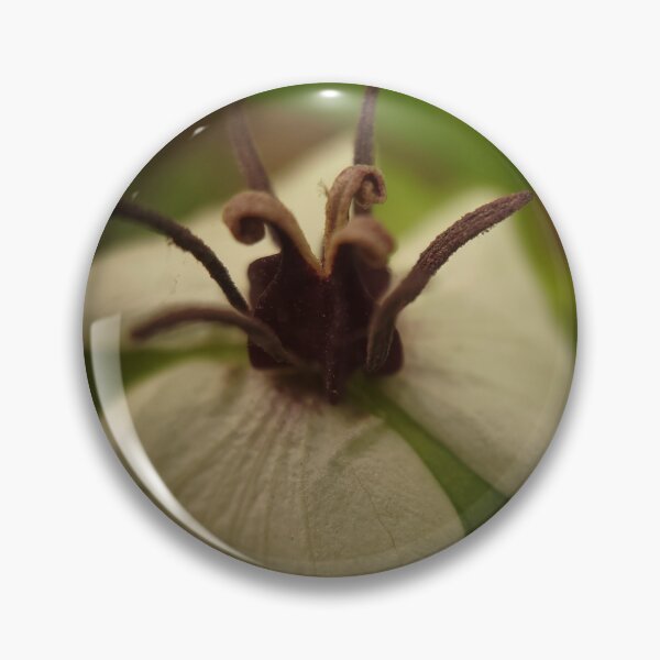 Item preview, White Petals designed and sold by Cameron Ashford.