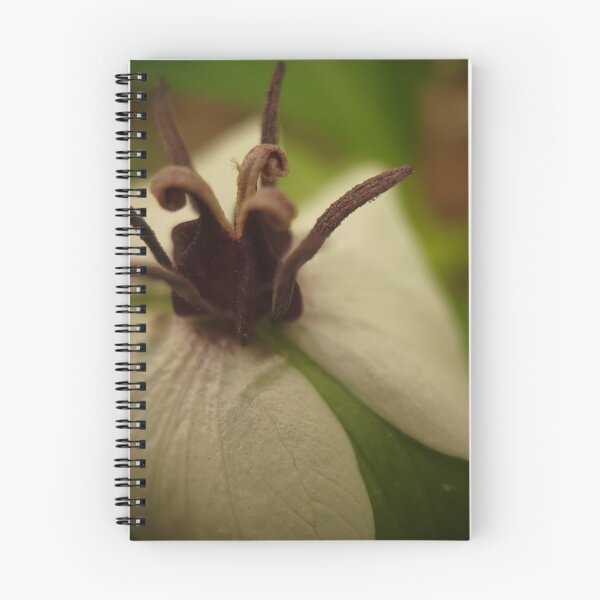 Item preview, White Petals designed and sold by Cameron Ashford.