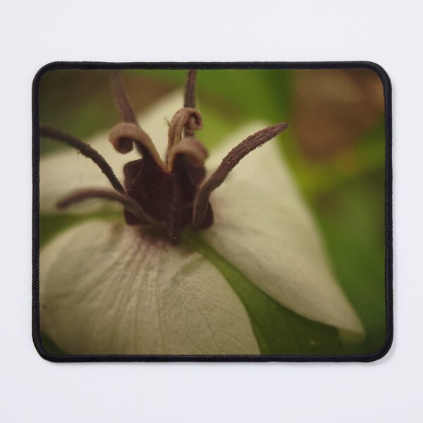 Item preview, White Petals designed and sold by Cameron Ashford.
