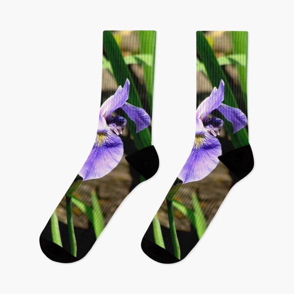 Item preview, Iris Ensata (Iris de estanque japonés) designed and sold by Anthony Seeker.