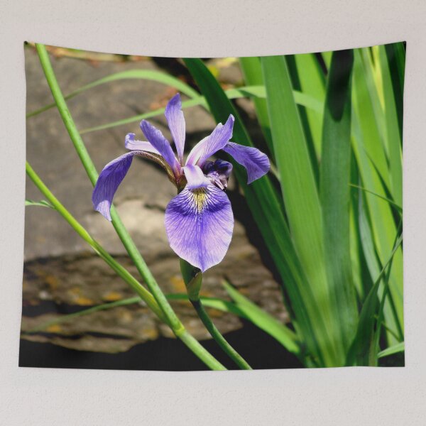 Item preview, Iris Ensata (Japanese Pond Iris) designed and sold by Anthony Seeker.