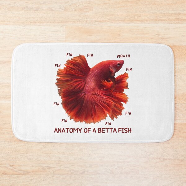 Item preview, Anatomy of a Betta Fish With Funny Labels designed and sold by st0n0ga.